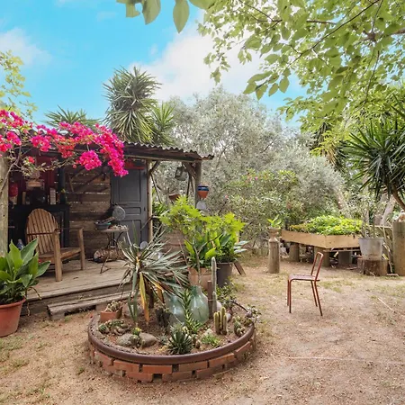 Chalet Petite Maison De Bois Banyuls-dels-Aspres