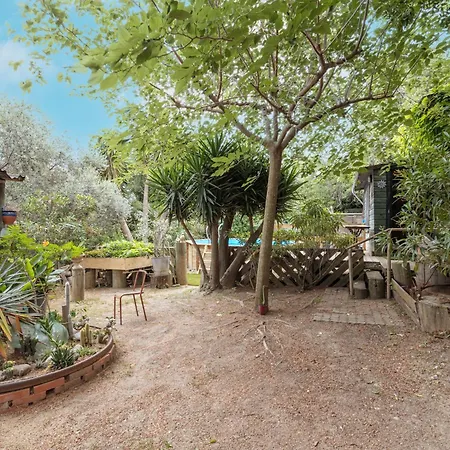Petite Maison De Bois