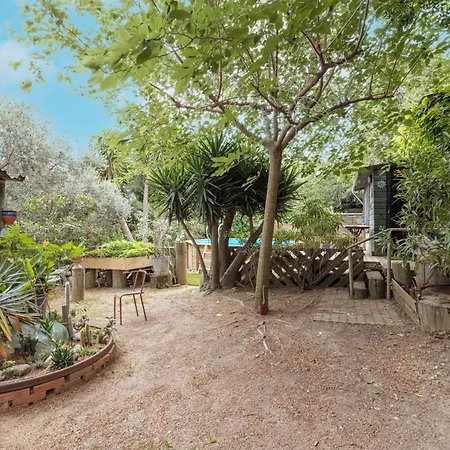 Petite Maison De Bois