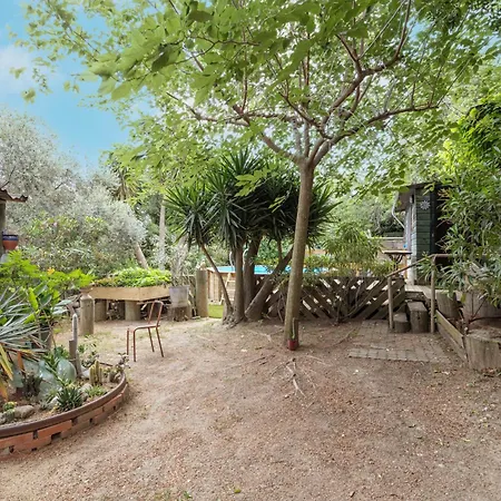 Petite Maison De Bois 샬레